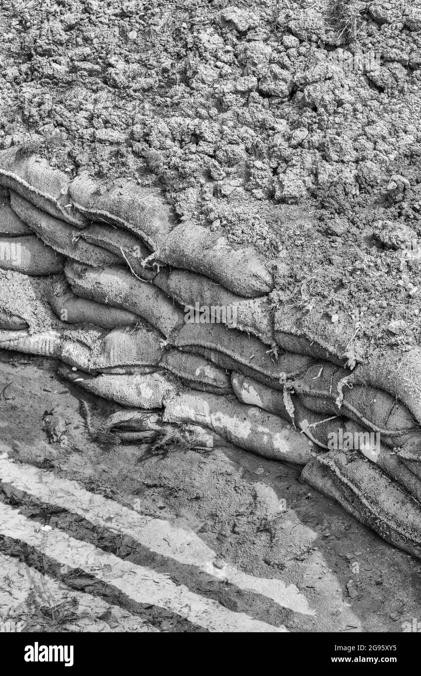 Sacs de sable en jute empilés recouverts d'une épaisse couche de terre végétale et d'eau d'inondation. Une partie des efforts de contrôle de l'érosion de l'eau mais utile pour les tranchées de la première Guerre mondiale Banque D'Images