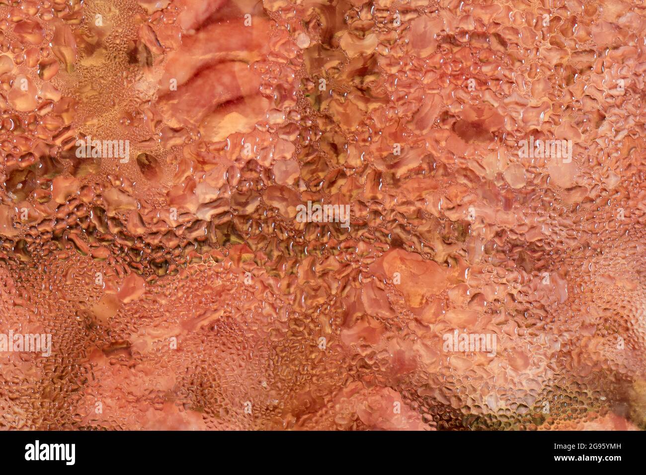 Résumé de la condensation d'eau sur un paquet de décongélation de viande hachée de supermarché. Une sorte de me rappelle les œufs transparents menaçants dans le vieux film Alien Banque D'Images