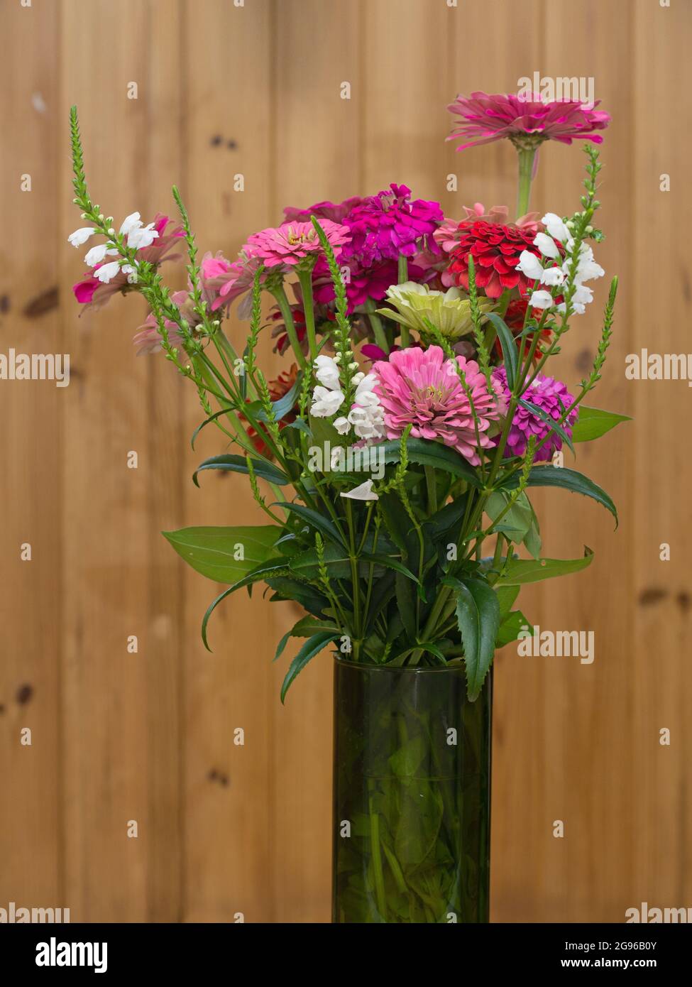 Bouquet de fleurs de différentes couleurs zinnia dans un vase en verre Banque D'Images