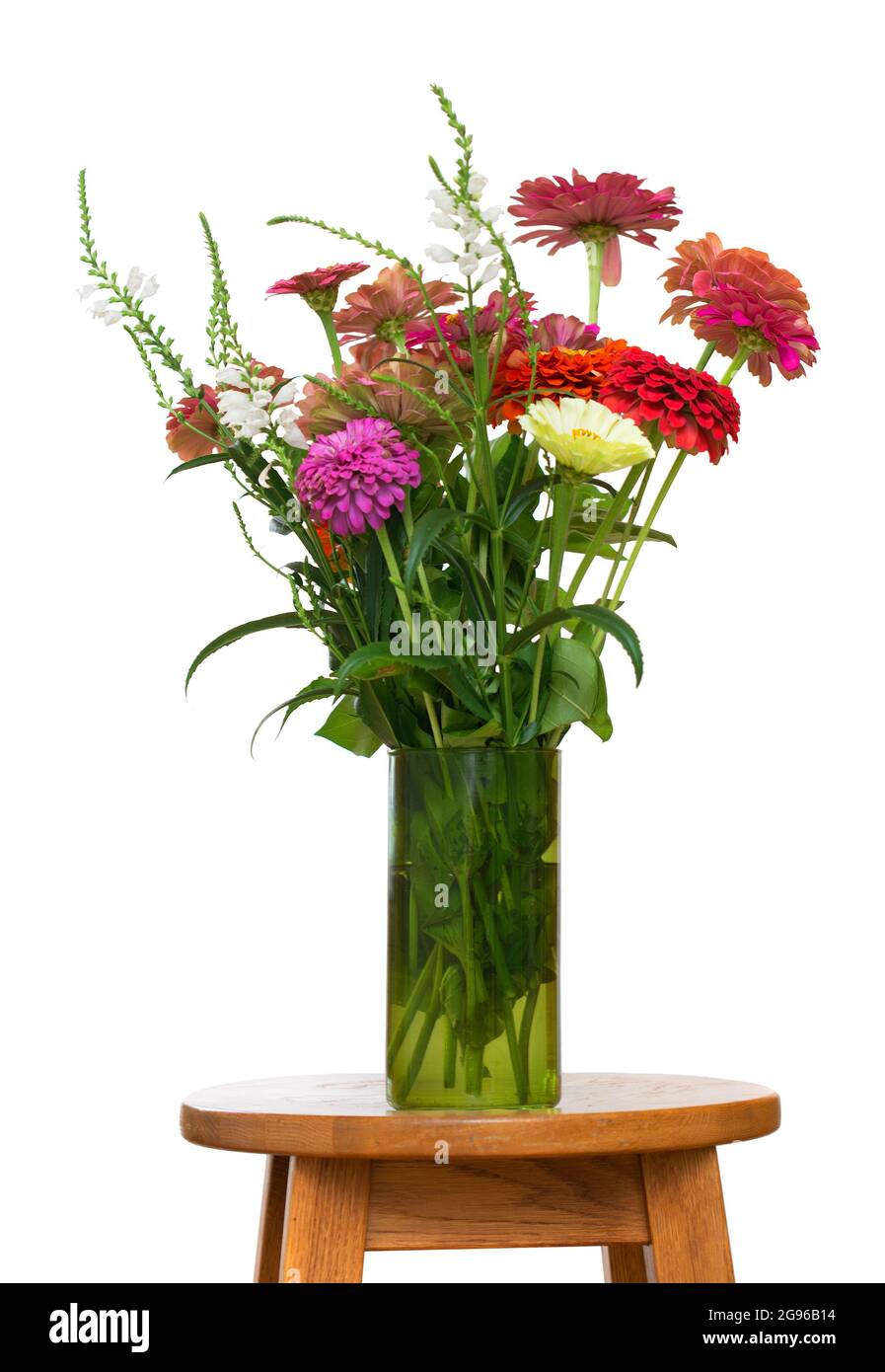 Bouquet de fleurs de différentes couleurs zinnia dans un vase en verre sur fond blanc Banque D'Images