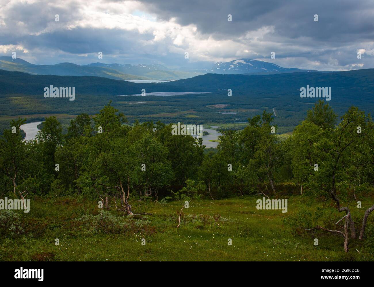 La vue d'une colline près de Hemavan accessible par Hemavan Gondola, Laponie suédoise Banque D'Images