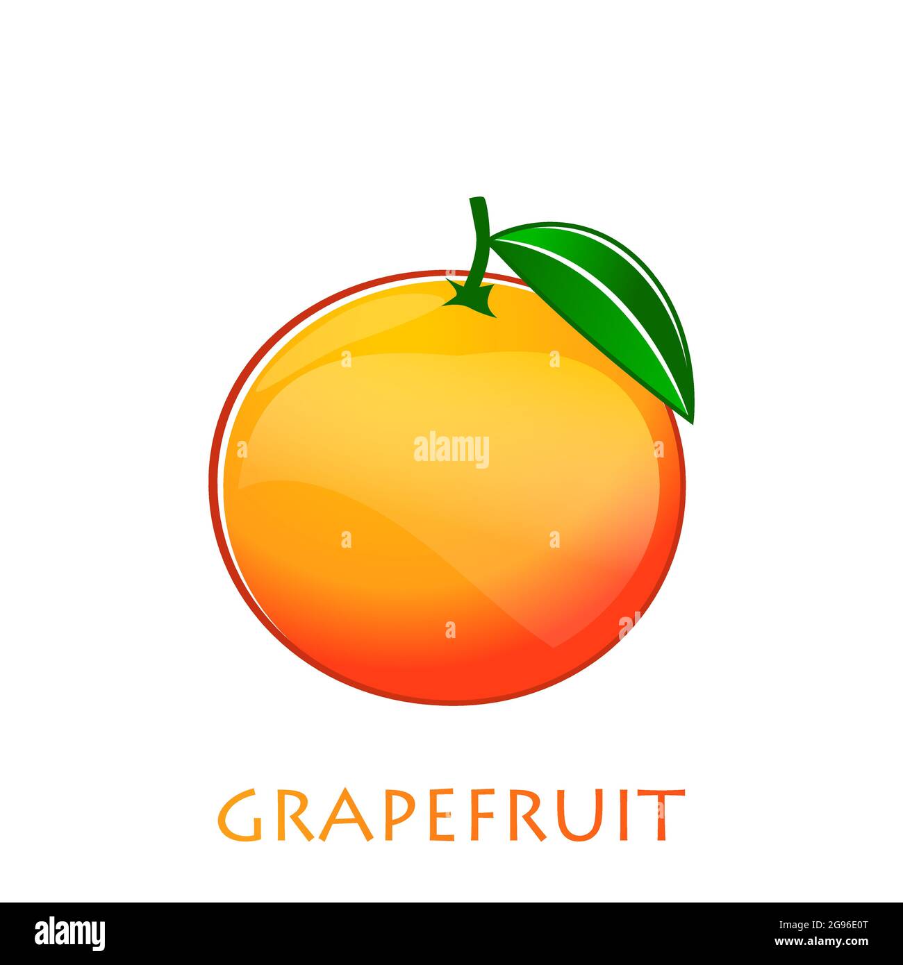 Illustration du vecteur plat de pamplemousse. Orange agrumes clipart créatif avec typographie pour une cuisine saine menu, logo, élément design Illustration de Vecteur