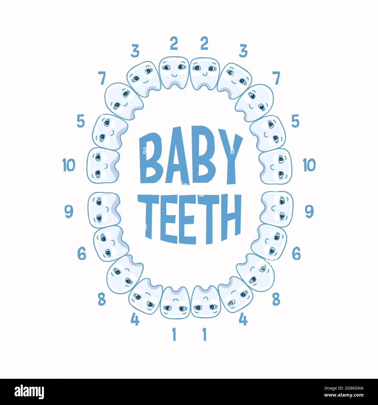 Élément graphique du concept anatomique des dents de bébé. Illustration vectorielle. Illustration de Vecteur