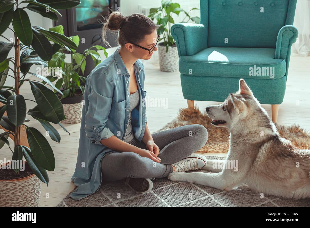 Jeune femme qui élève et joue avec son chien domestique husky sibérien chez elle Banque D'Images
