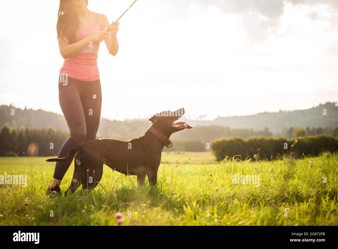Femme et son américain Pit Bull Terrier Banque D'Images