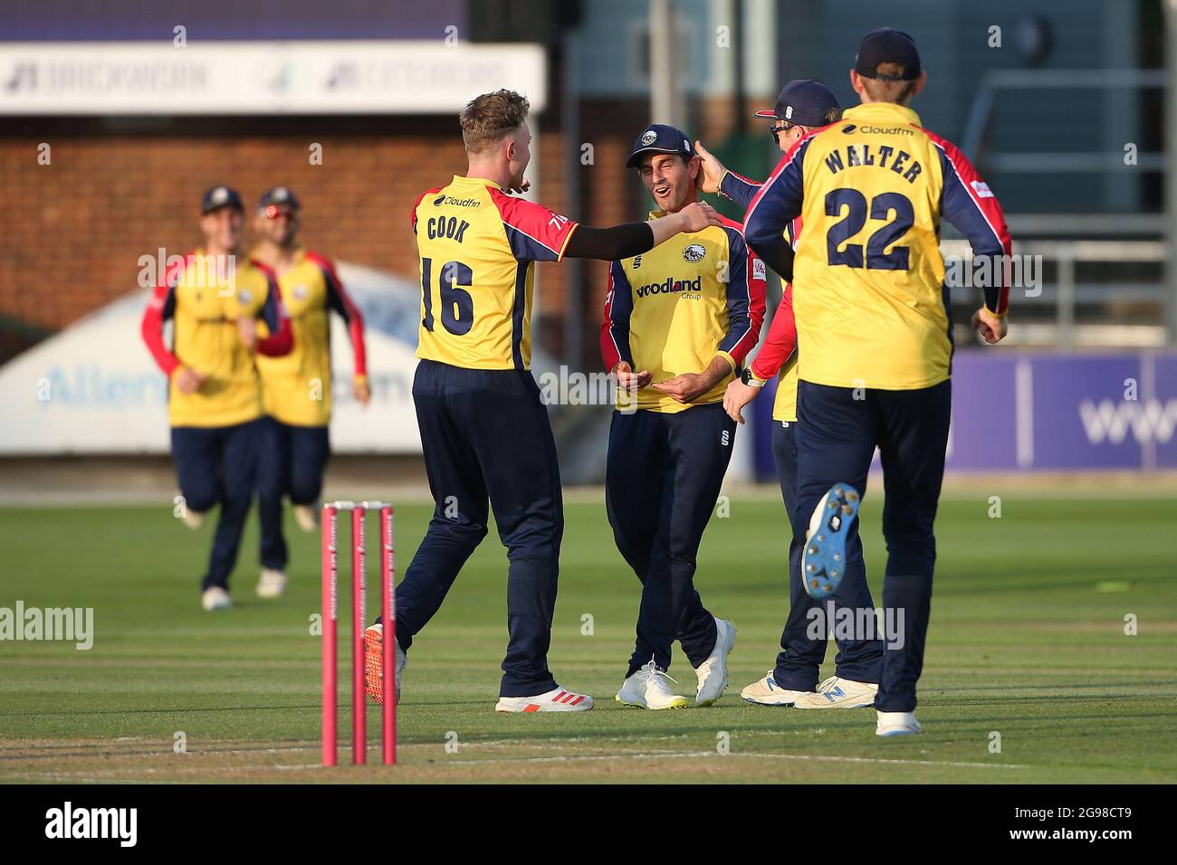 Ryan Ten Doeschate, d'Essex, fête avec ses coéquipiers après avoir exécuté Andrew Salter pendant Essex Eagles vs Glamourgan, Vitality Blast T20 Cricke Banque D'Images