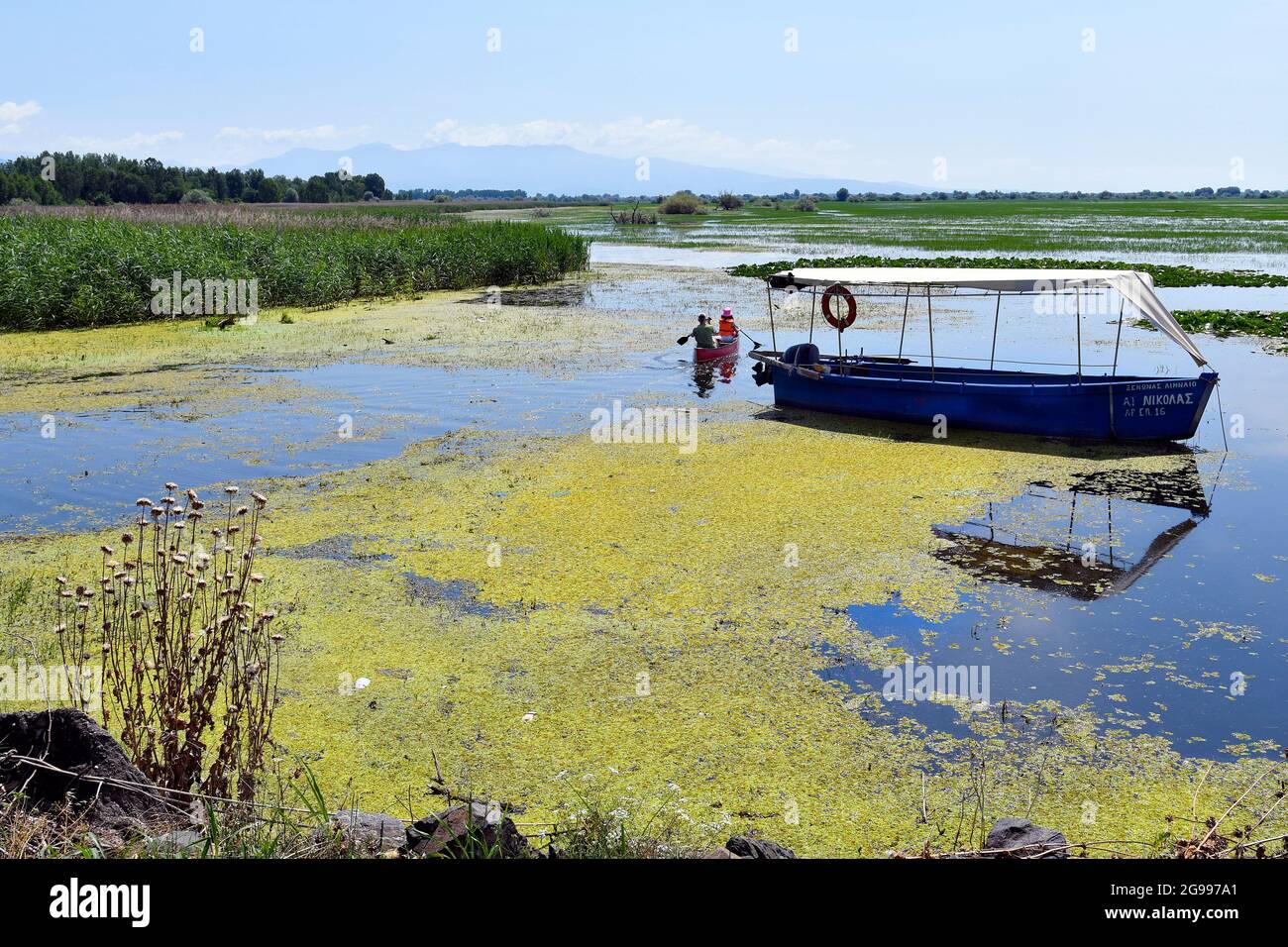 Grèce, deux personnes en canoë sur le lac Kerkini en Macédoine centrale, un endroit préféré pour les oiseaux aquatiques Banque D'Images