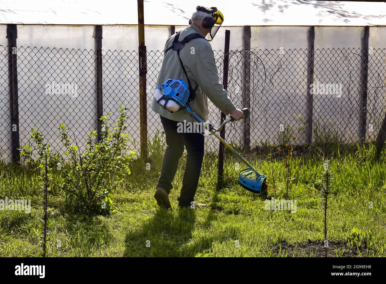 Le jardinier s'occupe du jardin. Processus de coupe de l'herbe verte avec le coupe-herbe dans le jardin. Tondeuse à essence. Banque D'Images