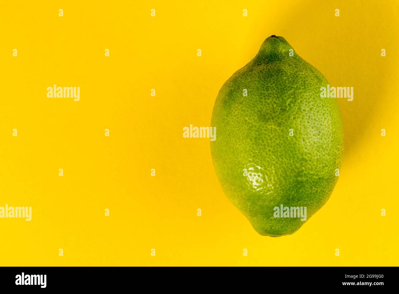 Citron vert de Syracuse, Sicile, Italie, variété femminello, isolé sur fond jaune, espace copie Banque D'Images