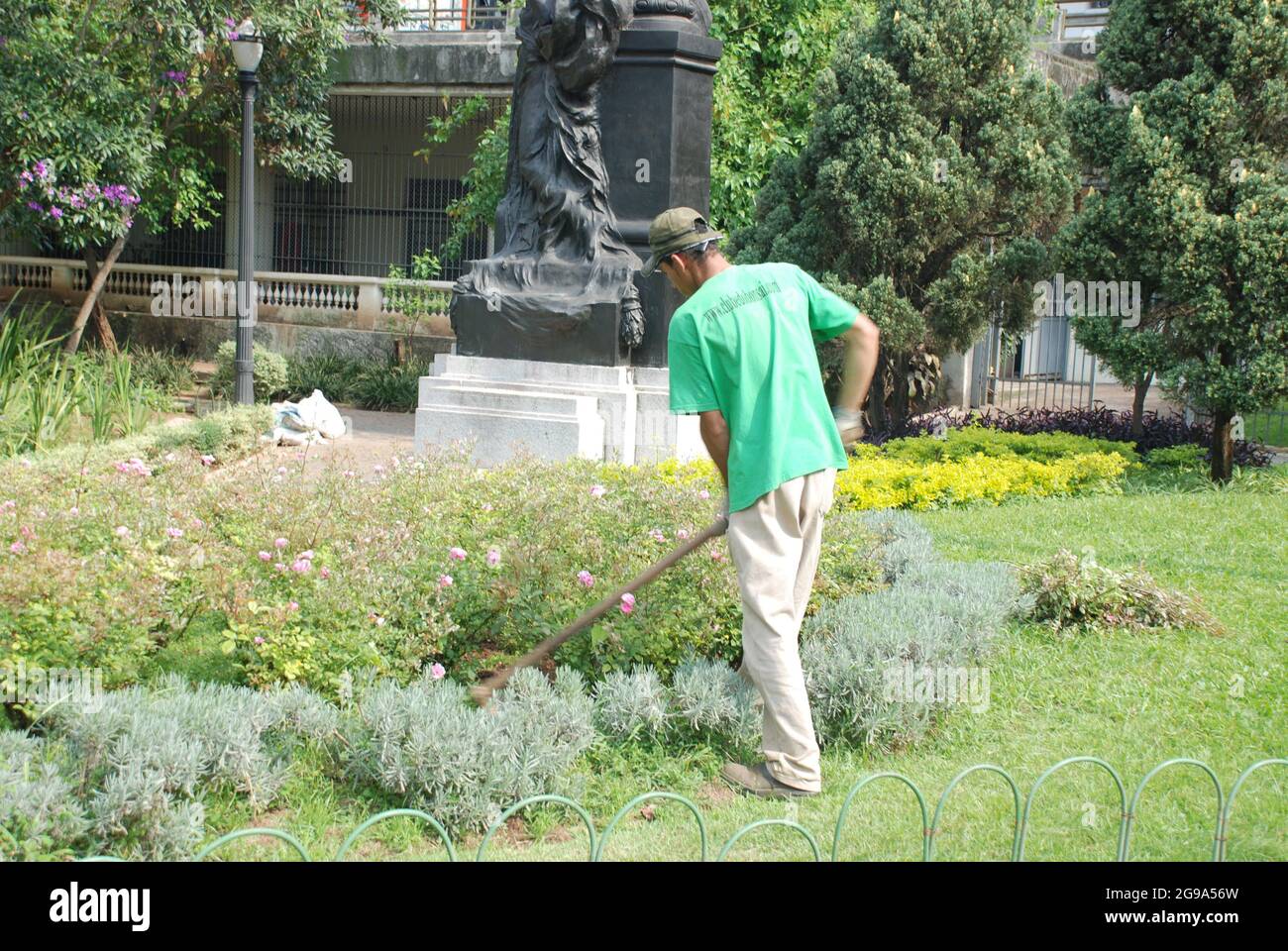 Jardinier travaillant sur un lit à fleurs. São Paulo, Brésil Banque D'Images