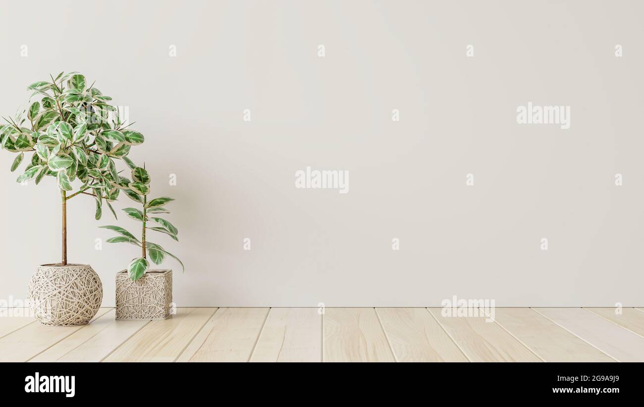Mur blanc vide intérieur pièce avec des plantes sur un sol, rendu 3D Banque D'Images