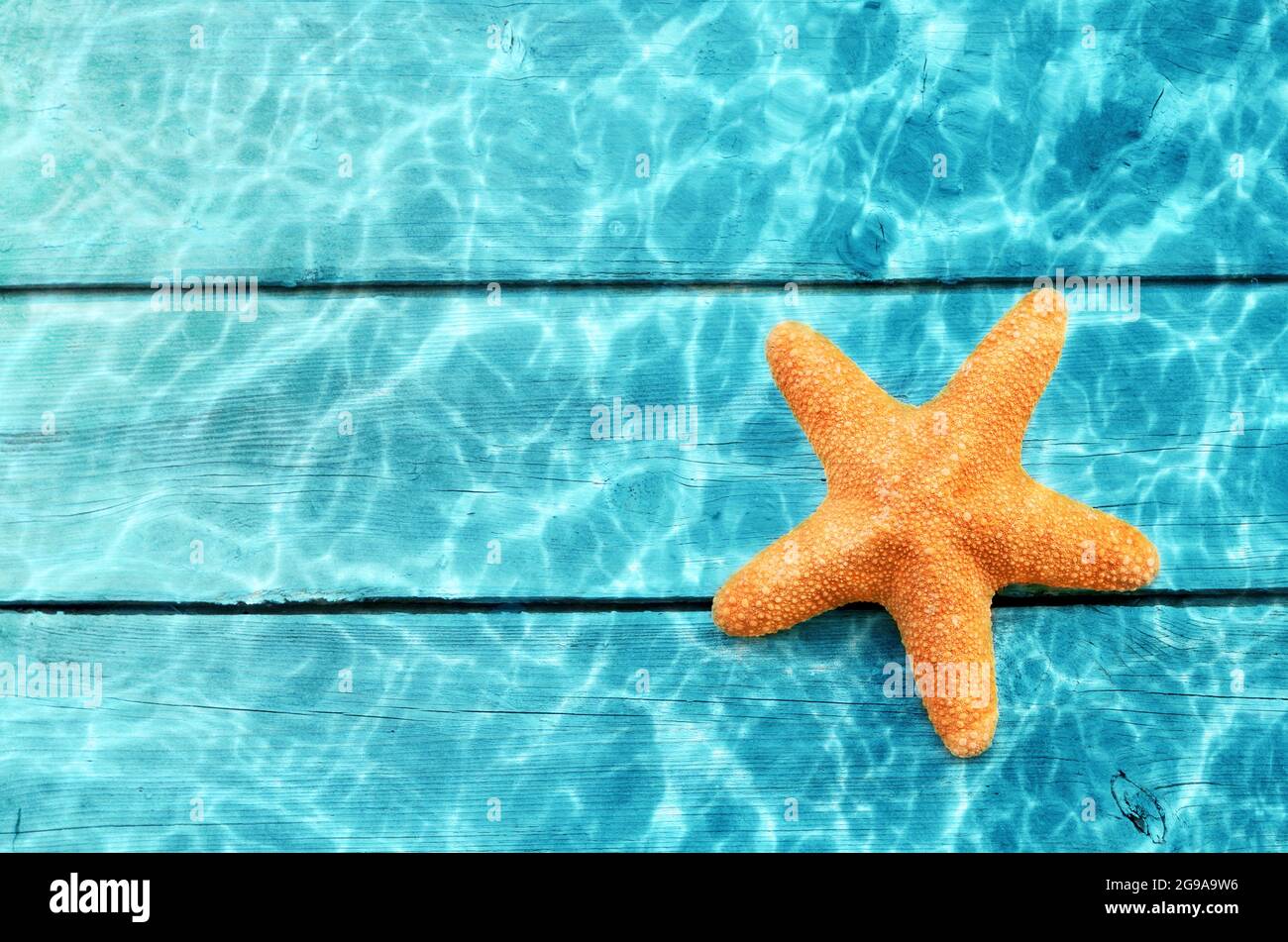 Starfish sur la plage d'été dans l'eau de mer et le fond des planches. Arrière-plan d'été. Heure d'été. Banque D'Images