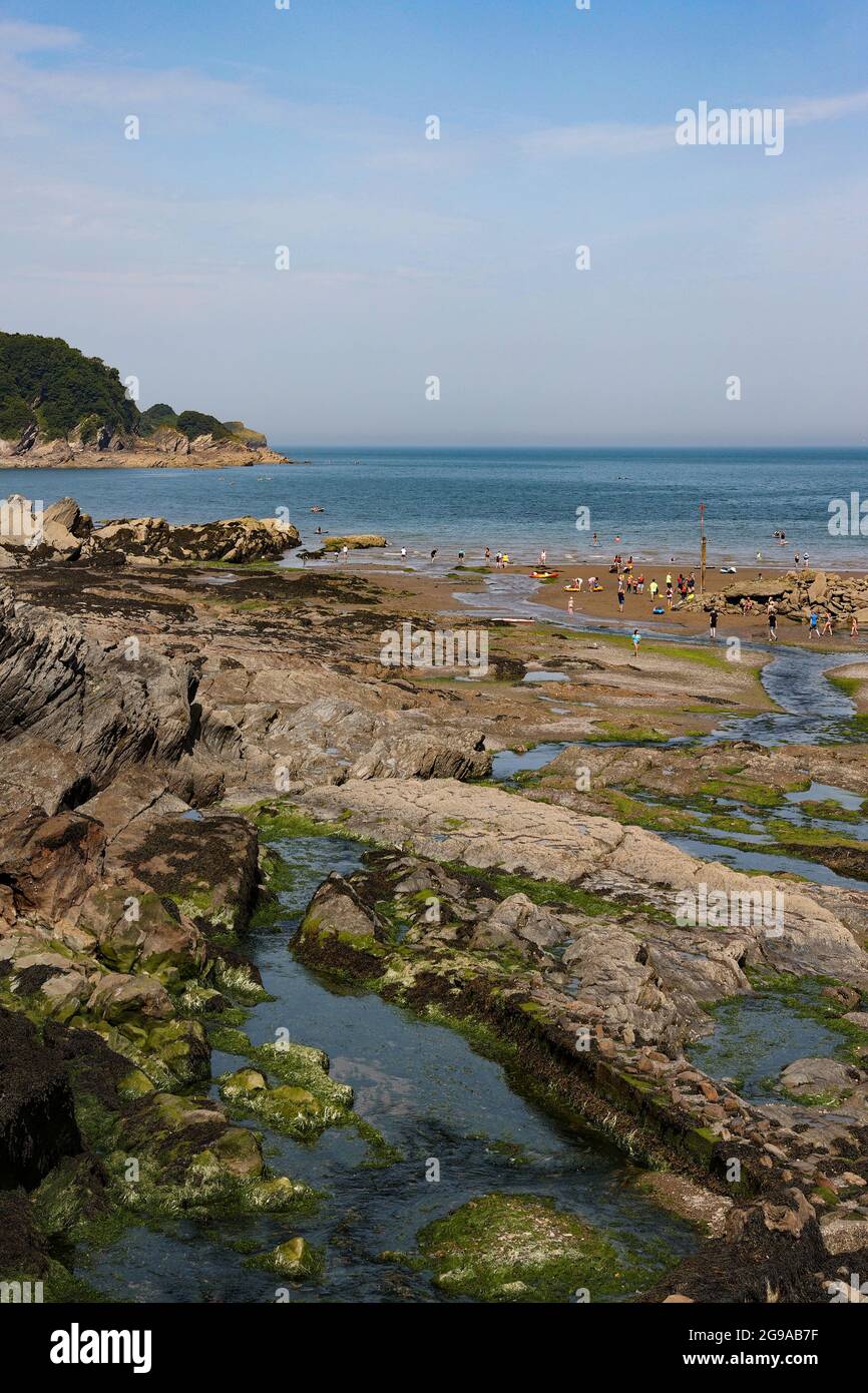 COMBE MARTIN, DEVON, ROYAUME-UNI. Vue sur le hêtre Combe Martin à marée basse. Banque D'Images