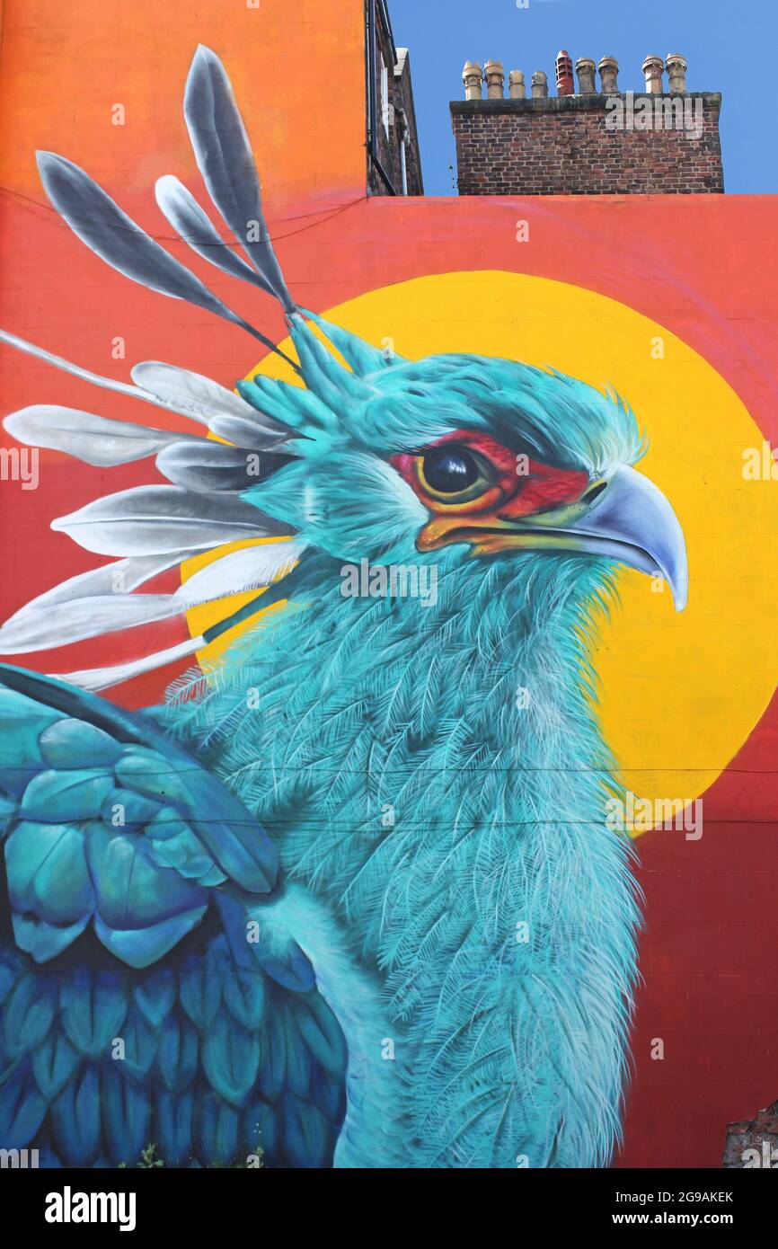 Foie oiseau / Secrétaire oiseau mural Banque D'Images