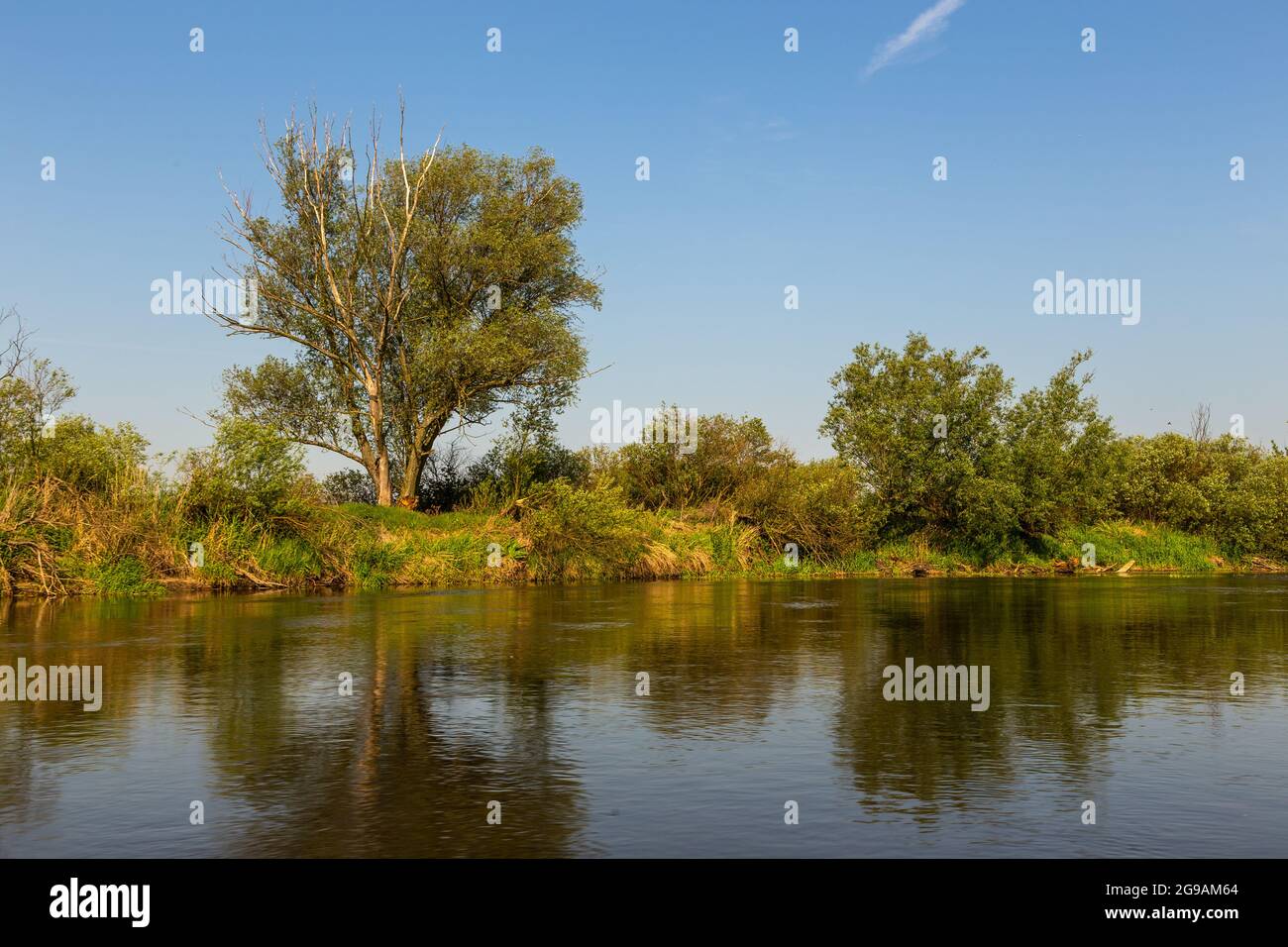 Journée d'été au-dessus de la rivière Warta dans le parc de paysage de Warta, Pologne. Banque D'Images