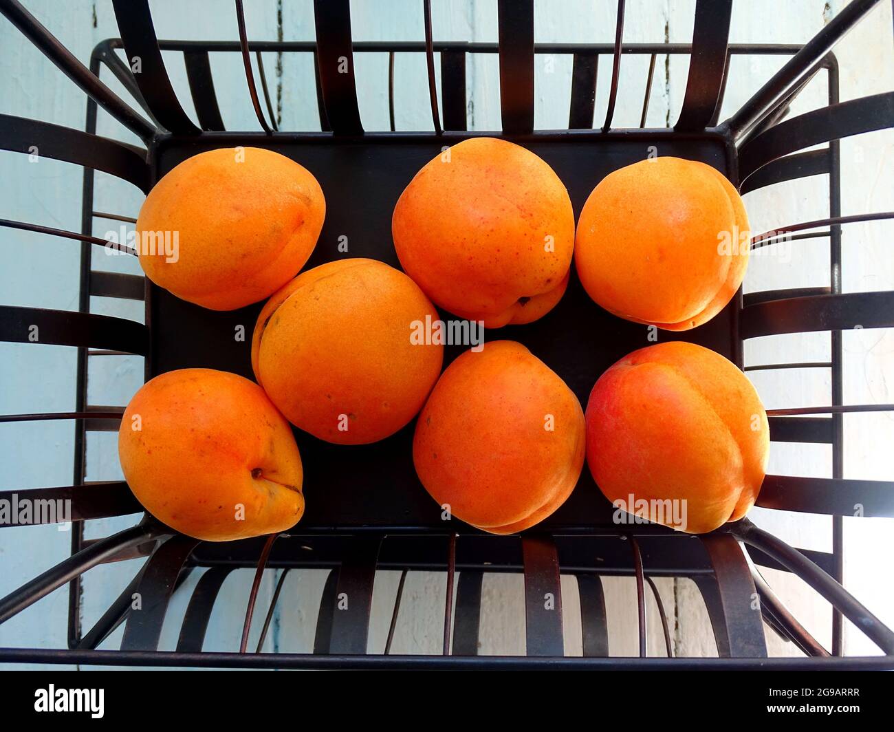 pêches mûres sur un support en métal noir Banque D'Images