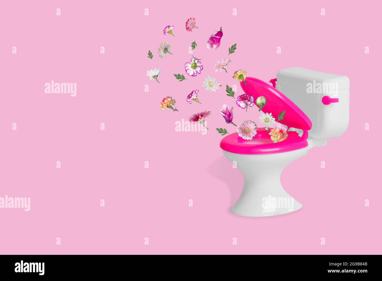 Idée créative avec un bol de toilette et différentes fleurs volantes dans  l'air sur un fond rose clair. Concept minimal d'hygiène, de protection, de  nettoyage Photo Stock - Alamy