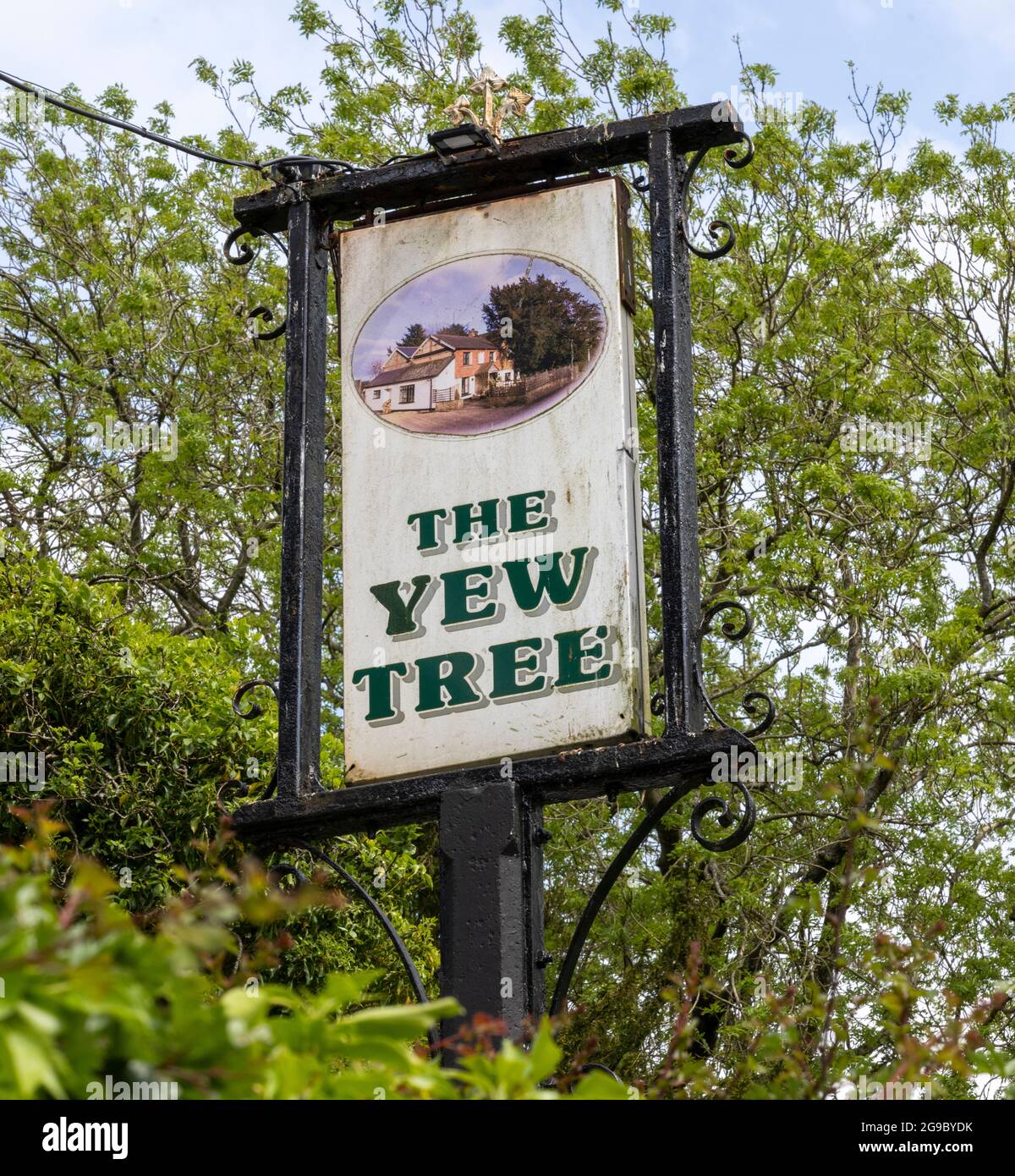 Panneau de pub suspendu traditionnel à la maison publique Yew Tree, Lower wield, Alresford, Hampshire, Angleterre, ROYAUME-UNI Banque D'Images