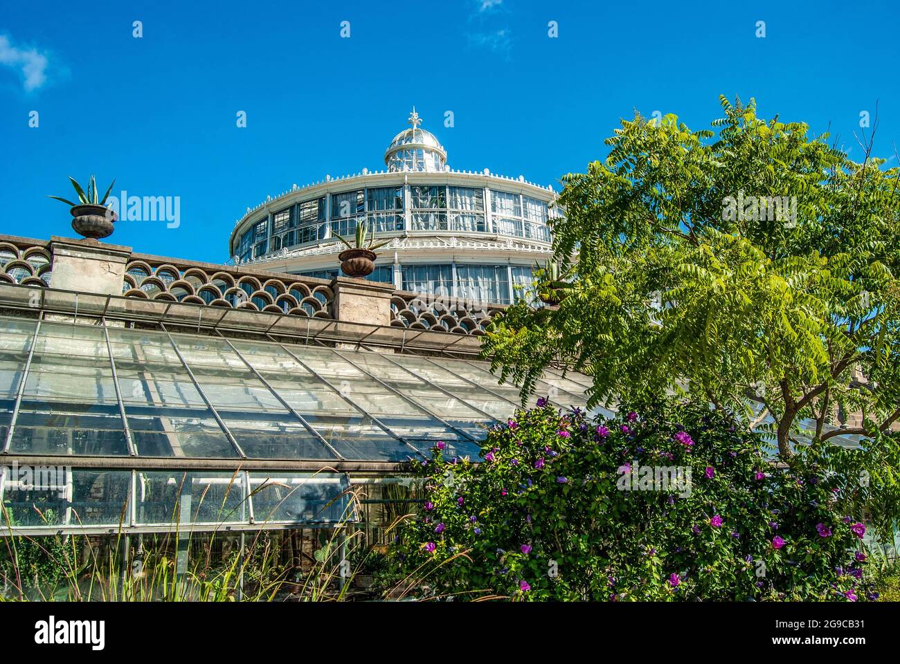 Vue extérieure du Palm House dans le jardin botanique de Copenhague, qui fait partie de la Faculté des sciences de l'Université de Copenhague. Banque D'Images