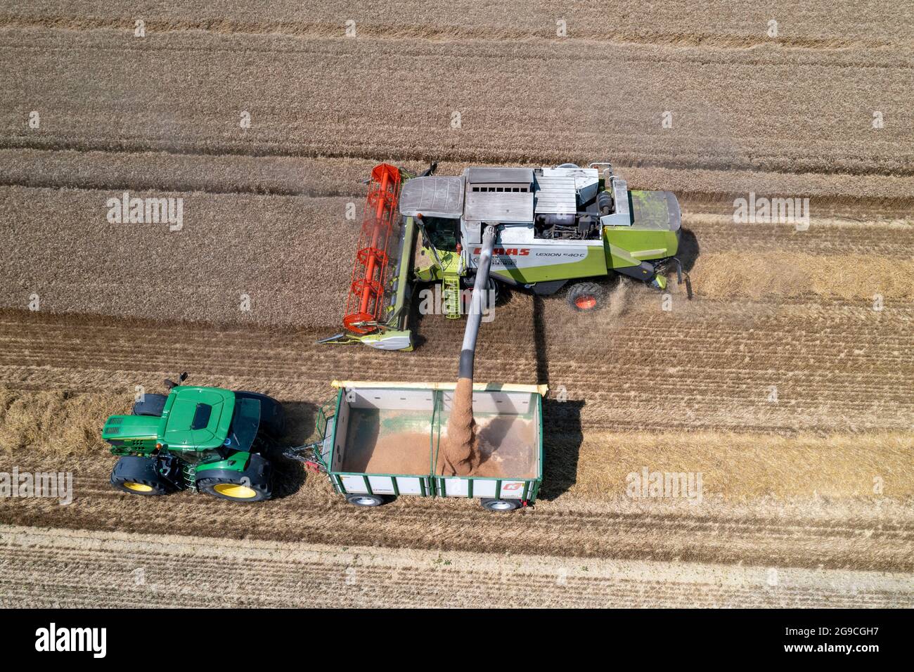 Agriculture, récolte de céréales, blé, moissonneuse-batteuse récolte dans un champ de blé, trémie à grain vidée dans une remorque, près de NiederkrŸchten, NRW, G. Banque D'Images