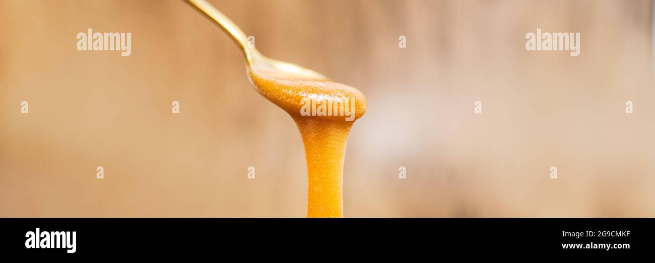 Le miel de Manuka s'égoutte de la cuillère dorée superalimentation naturelle saine sur fond de bannière panoramique en bois Banque D'Images