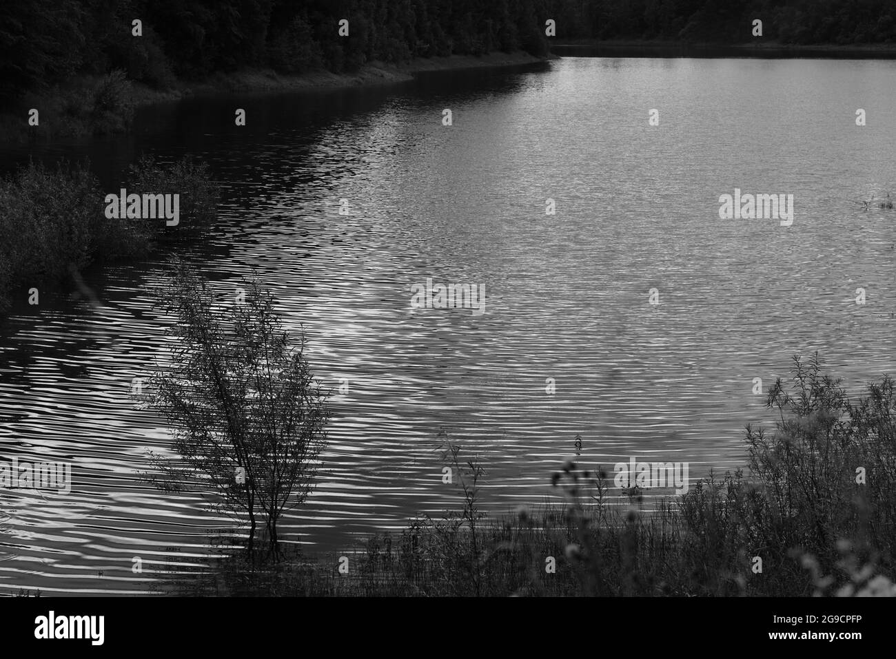 Réservoir d'eau utilisé pour obtenir de l'eau potable près de Breitenbach, Rothaargebirge Banque D'Images