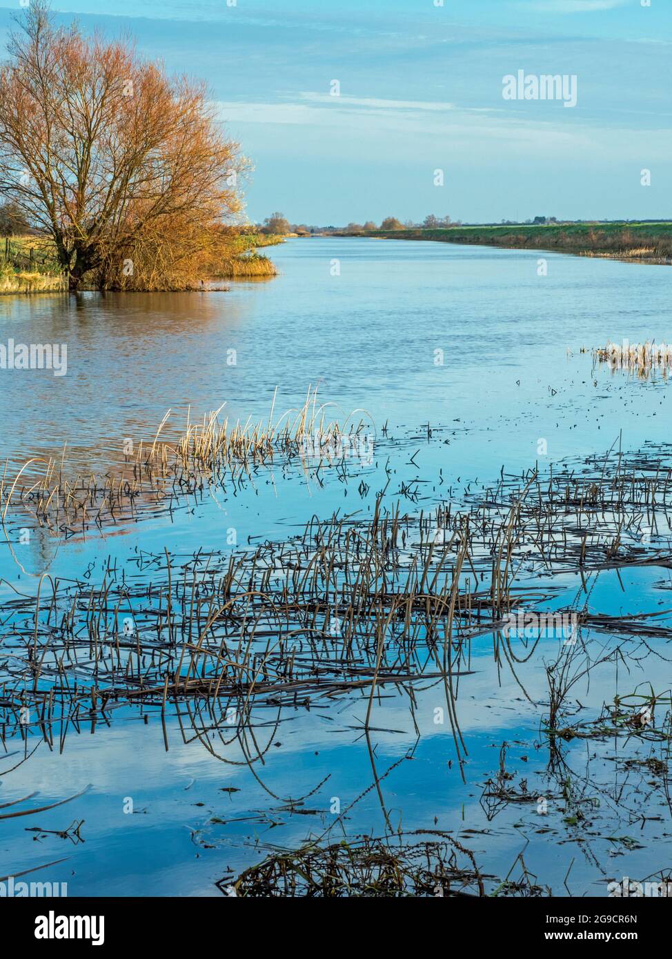 Vue vers le nord le long de la rivière New Bedford, près d'Earith, Cambridgeshire Banque D'Images