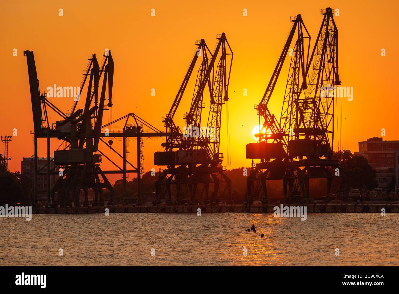 Coucher de soleil sur le port de mer et les grues industrielles, Varna, Bulgarie Banque D'Images