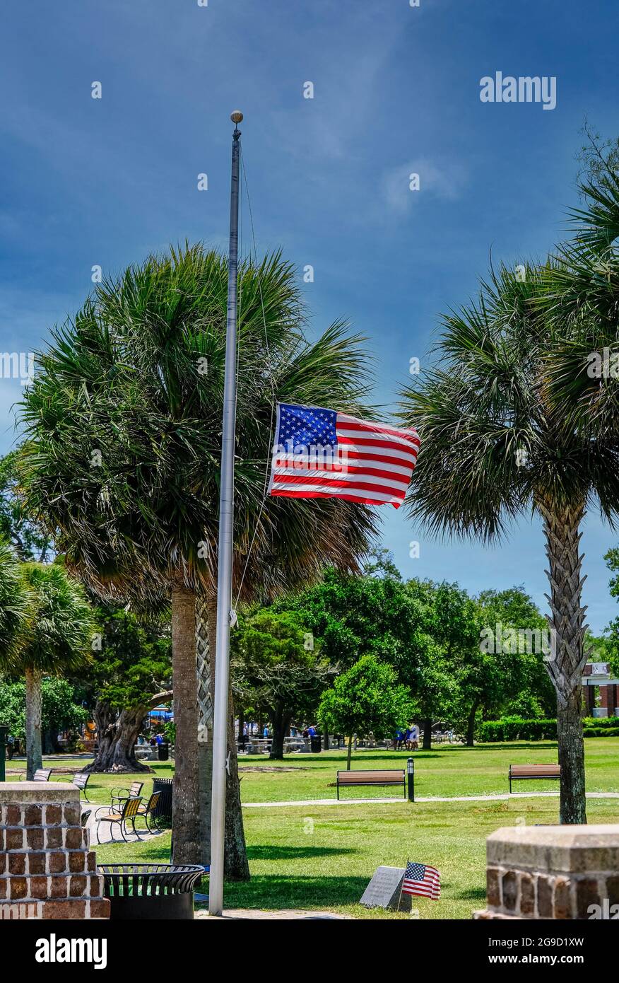Drapeau en Berne dans un parc tropical Banque D'Images