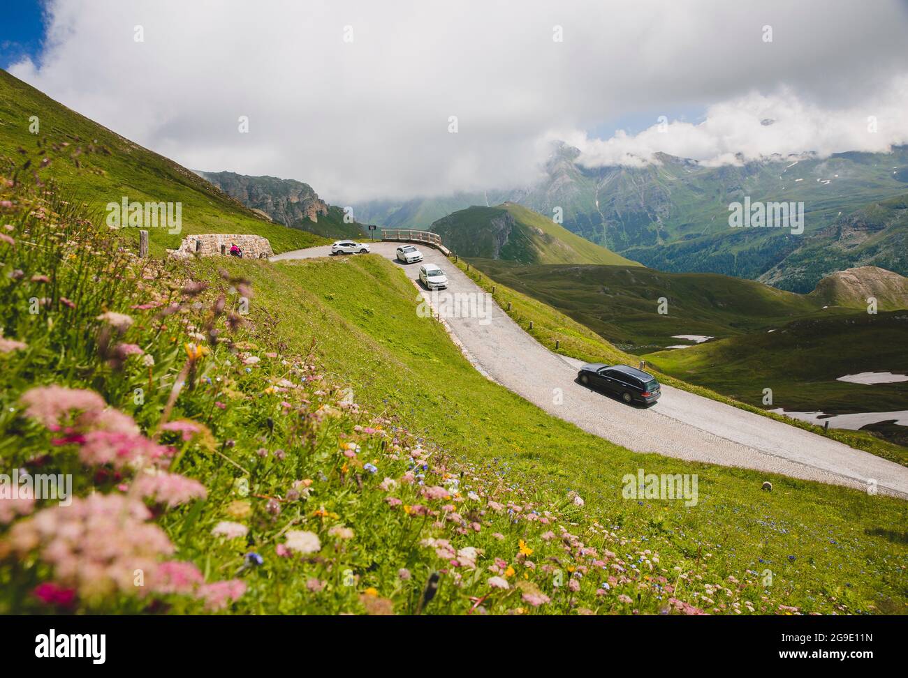 Käuterwiesen, großglockner Straße, Österreich Banque D'Images