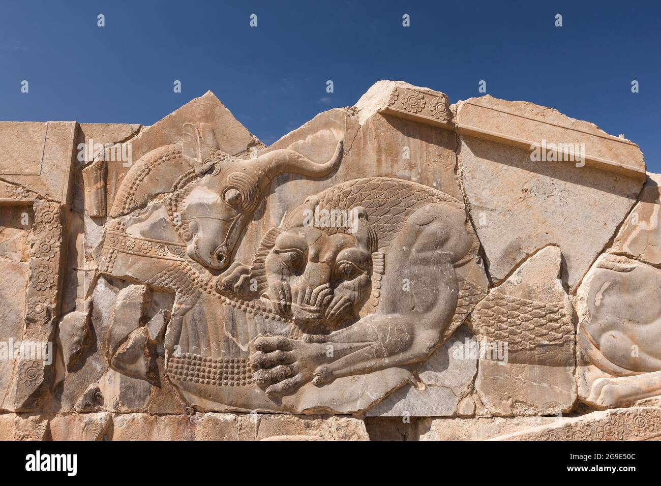 Persepolis, bas-relief du lion, palais des Xerxès, capitale de l'empire achéménide, province de Fars, Iran, Perse, Asie occidentale, Asie Banque D'Images