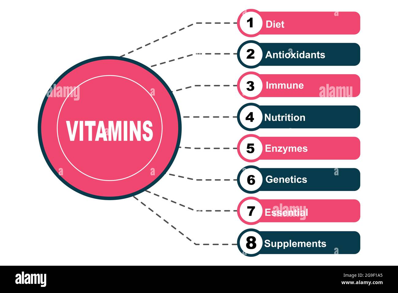 Concept de diagramme avec texte de vitamines et mots-clés. EPS 10 isolé sur fond blanc Illustration de Vecteur