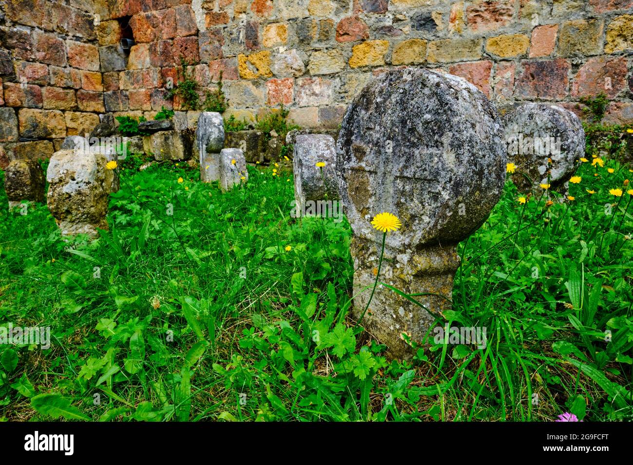 France, Pyrénées-Atlantiques (64), pays Basque, haute-Soule, Sainte-Engrâce, Église romane de Santa Grazi du XIe siècle, sur le chemin de Banque D'Images