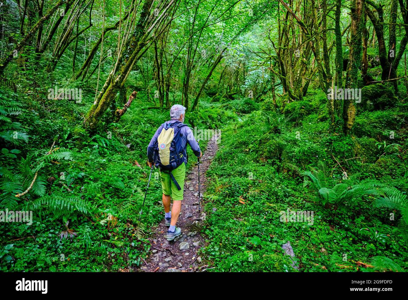 France, Pyrénées-Atlantiques (64), pays Basque, haute-Soule, Sainte-Engr grâce, Les gorges d'Ehujarre Banque D'Images