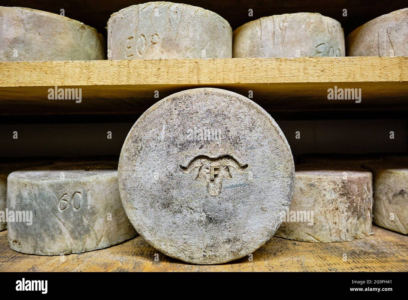 France, Pyrénées-Atlantiques (64), pays Basque, Vallée des Aldudes, Céline Monaco, producteur de fromages Ossau-Iraty Banque D'Images