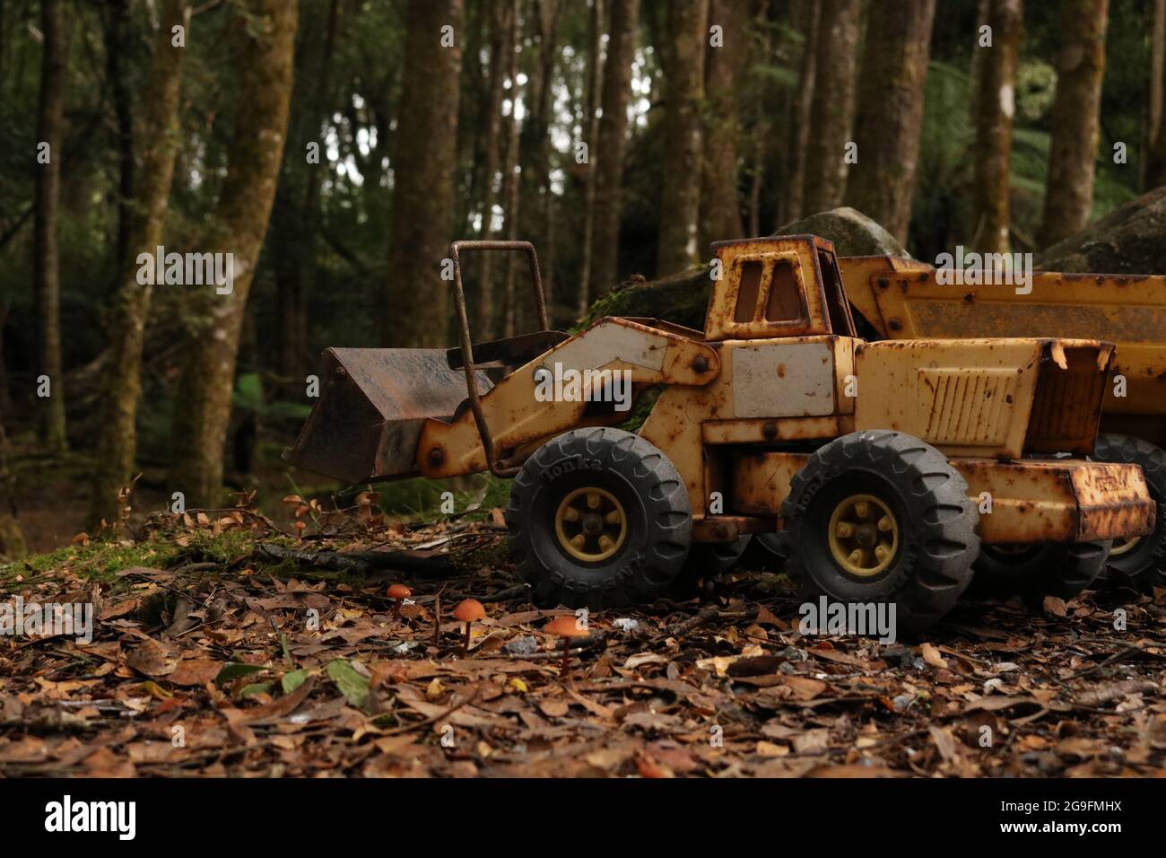Souvenirs oubliés - jouet pour enfants dans une forêt Banque D'Images