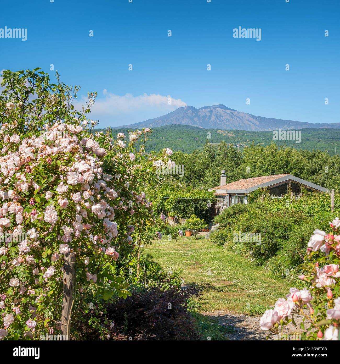 Paysage rural sicilien avec petite ferme et éruption volcanique de l'Etna en arrière-plan en Sicile, Italie Banque D'Images