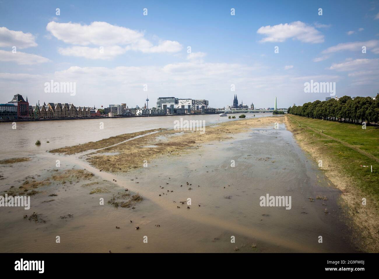 Basse haute eau du Rhin le 21 juillet 2021, prés du Rhin à Poll, vue sur les grues du port de Rheinau et la cathédrale, Cologne, Ger Banque D'Images