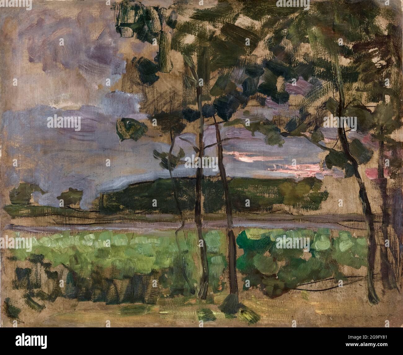 Piet Mondrian (Piet Mondriaan), champ avec jeunes arbres dans le champ de forêt, peinture de paysage, vers 1907 Banque D'Images