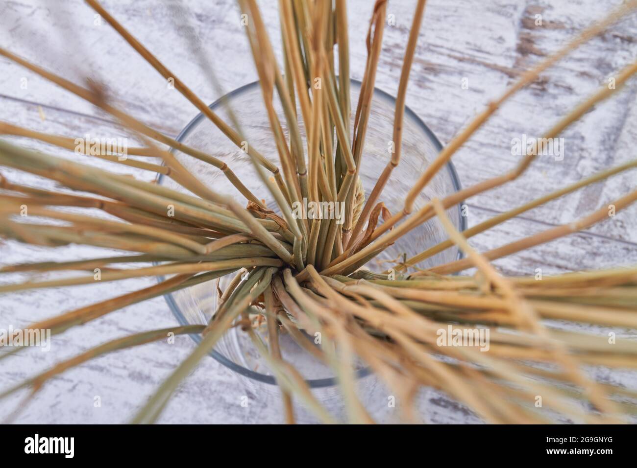 Vue de dessus tiges de blé doré dans le vase en verre. Banque D'Images Vue de dessus tiges de blé doré dans le vase en verre. Banque D'Images