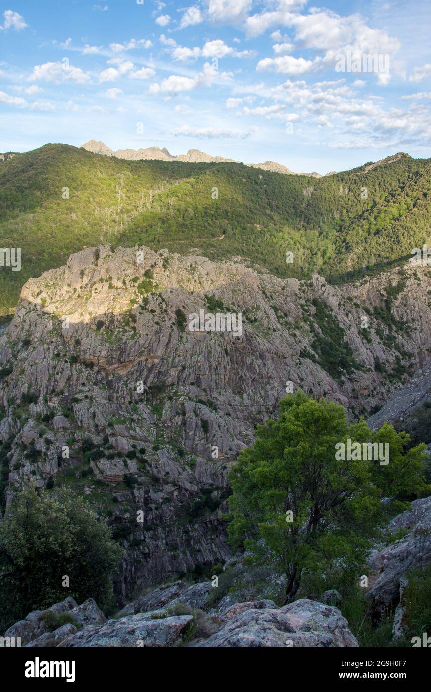 Découverte de l'île de beauté en Corse-du-Sud en mai, France Banque D'Images