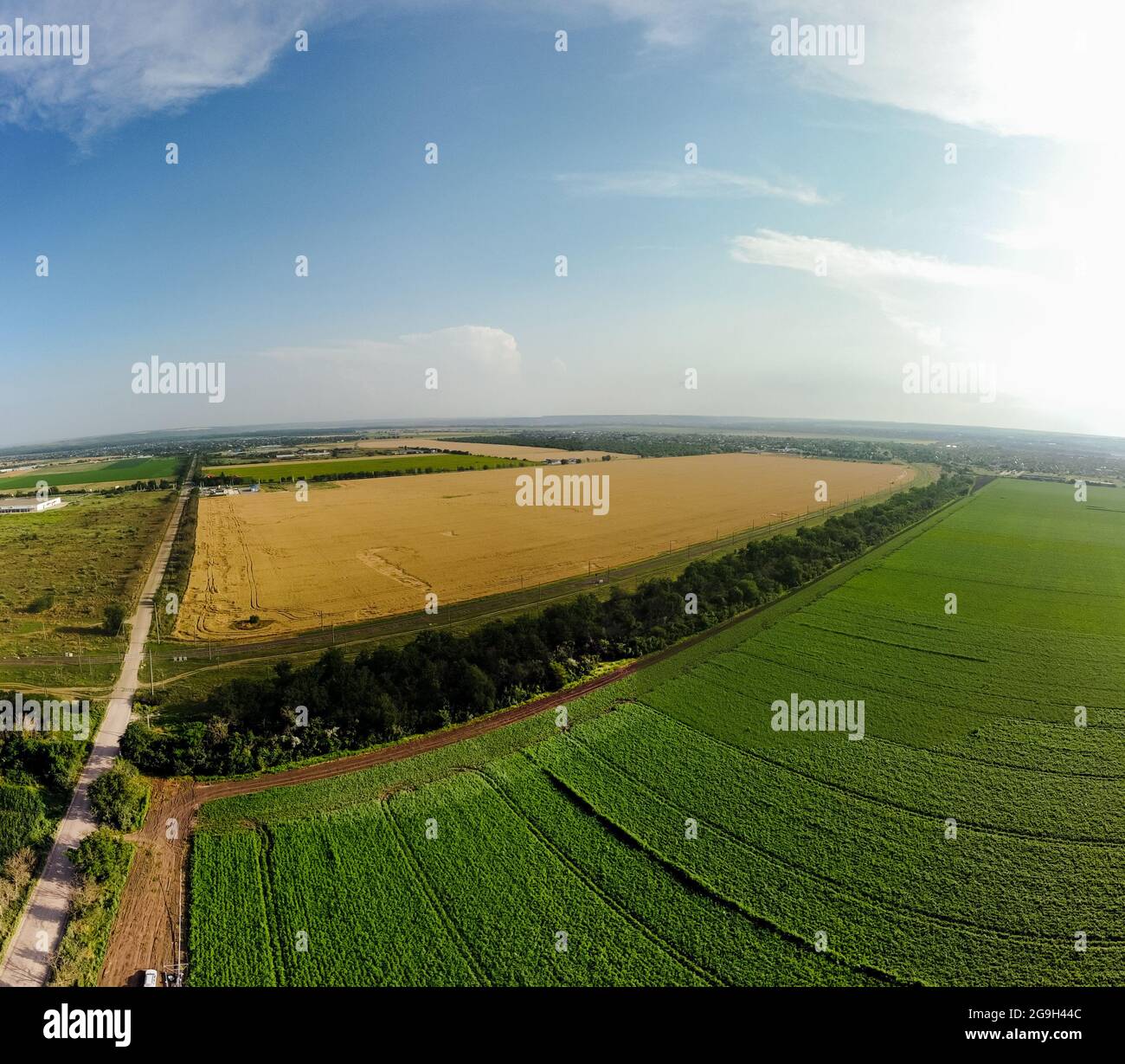 Panorama grand angle des champs de maïs et de blé, Drone DJI Mavic mini 2  vue aérienne Photo Stock - Alamy