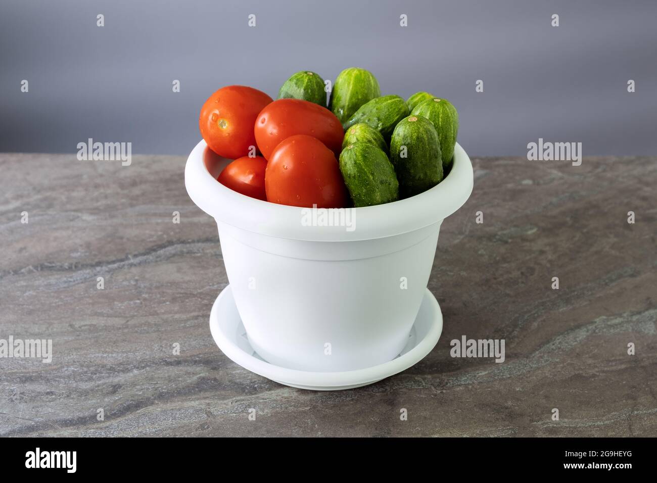 Tomates et concombres fraîchement récoltés dans un nouveau pot de fleurs blanches. Concept d'agriculture agricole domestique Banque D'Images