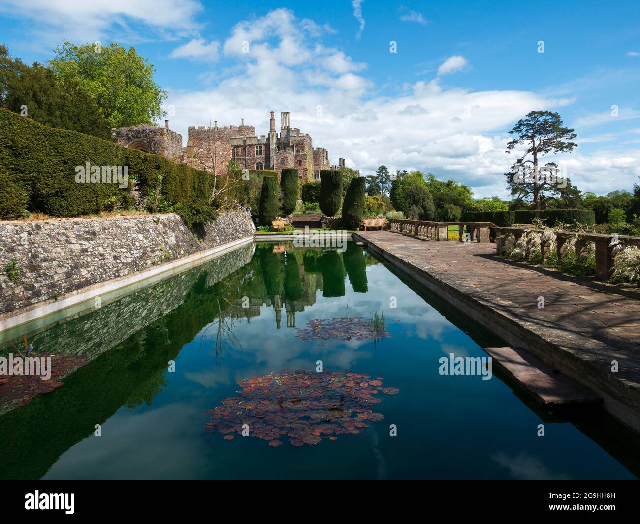 The Lily Pond (anciennement piscine édouardienne) Berkeley Castle, Berkeley, Gloucestershire, Angleterre, Royaume-Uni. Banque D'Images