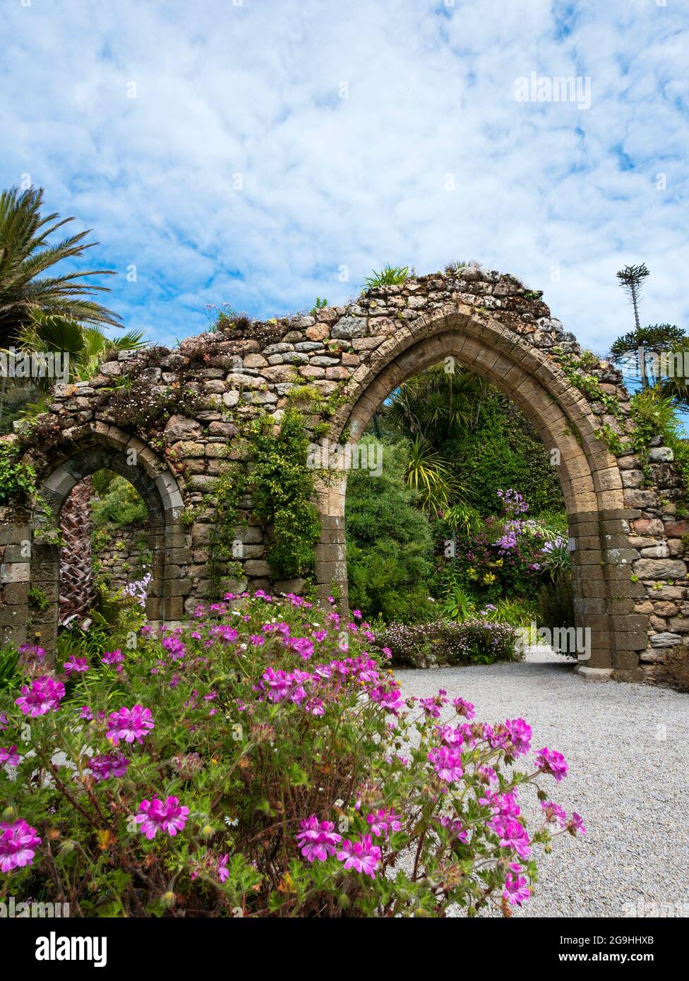 Tresco Abbey Gardens, Tresco, Îles de Scilly, Cornouailles, Angleterre, ROYAUME-UNI. Banque D'Images