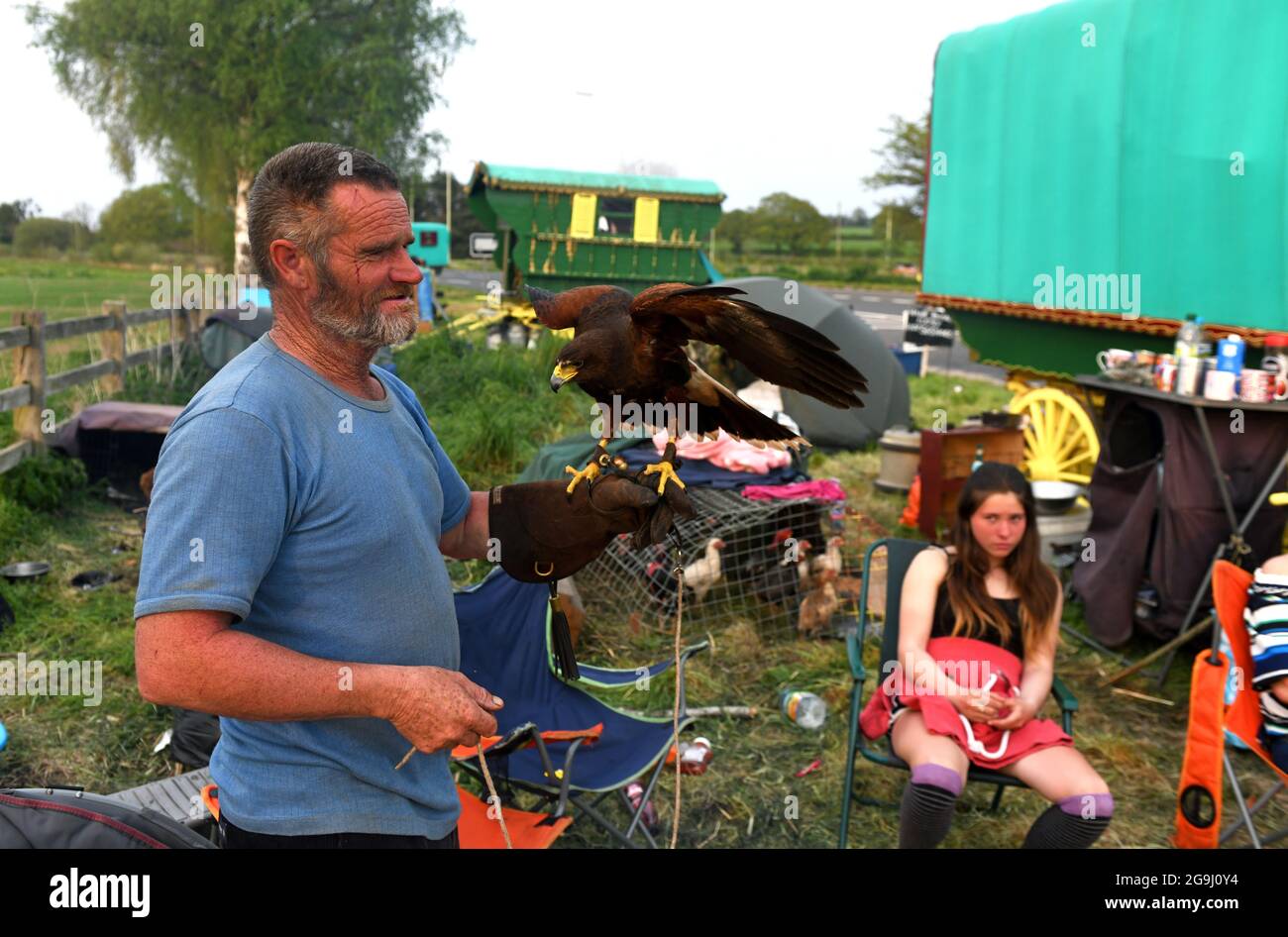 Percy Bennett, voyageur romantique, avec Harris Hawk, utilisé pour attraper des lapins Banque D'Images