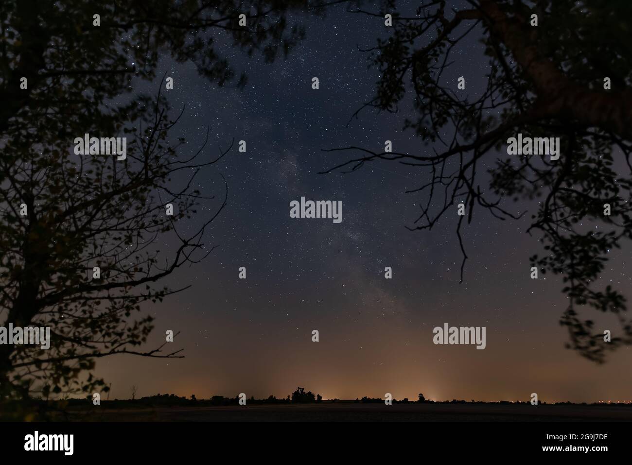 Ambiance nocturne et nocturne dans le parc national du lac Neusiedl. Banque D'Images