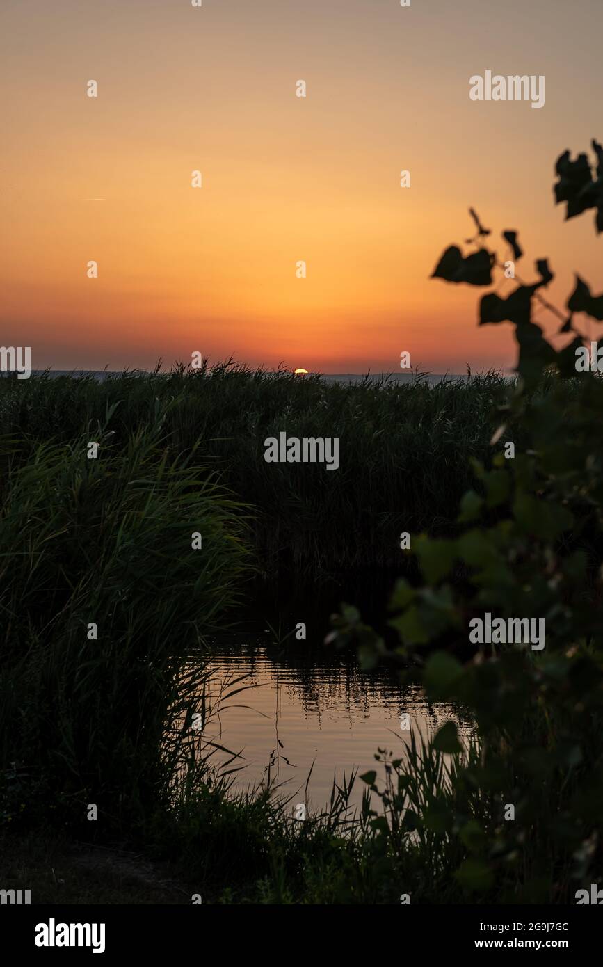 Ambiance nocturne et nocturne dans le parc national du lac Neusiedl. Banque D'Images