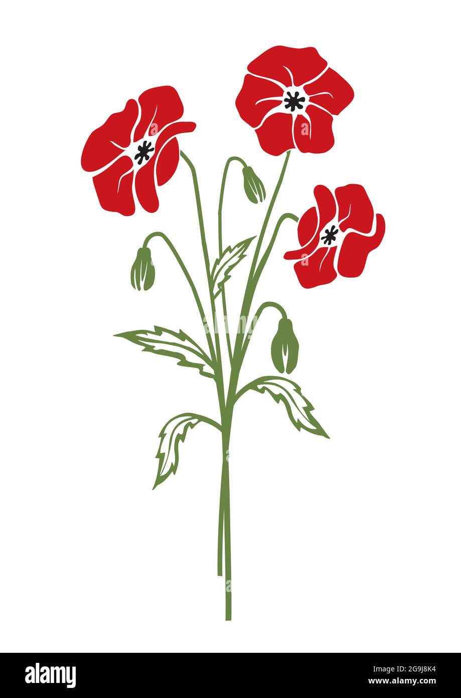 Fleurs de coquelicot rouge, silhouette colorée. Illustration colorée stylisée du motif floral d'été. Isolé sur fond blanc. Vecteur disponible. Illustration de Vecteur