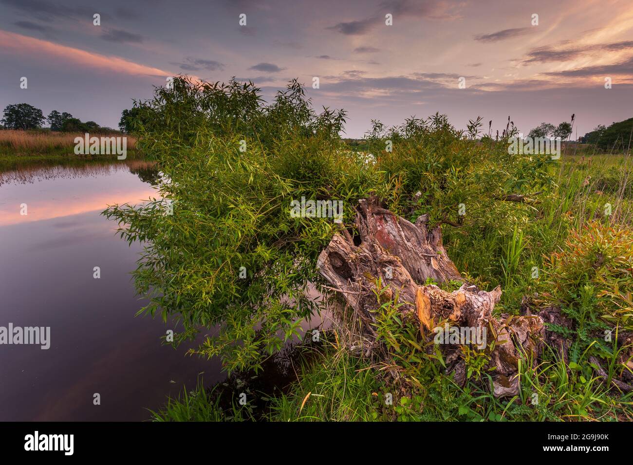 Coucher de soleil sur la rivière Warta dans le parc de paysage de Warta, LAD, Pologne. Banque D'Images